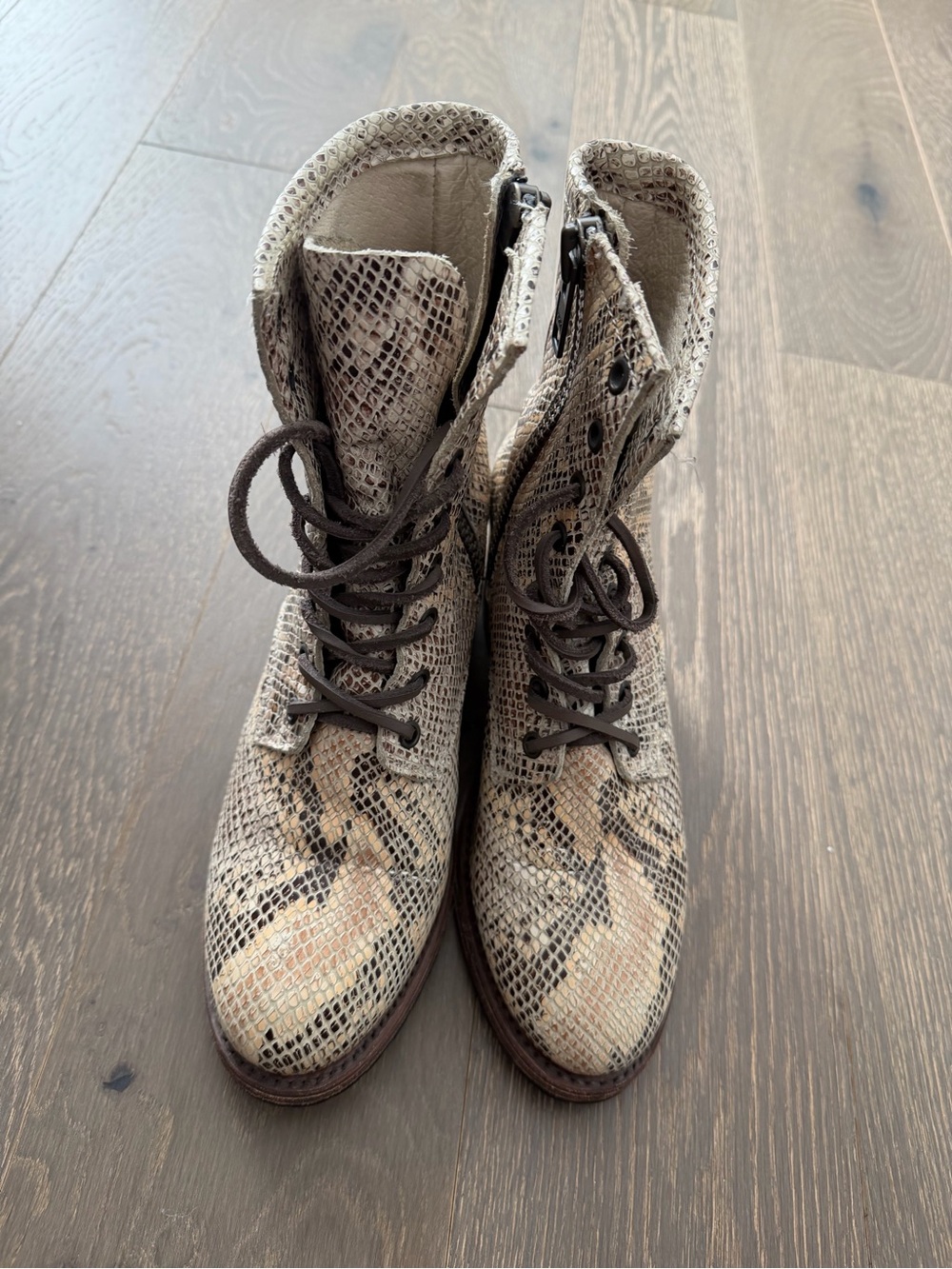 Freebird by Steven Cavalier Snake Beige Multi Print Lace-Up Combat Boots